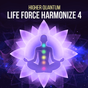 Life Force PLUS Collection - Qi Life Store 