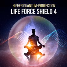 將圖像加載到圖庫查看器中，Life Force Protection Series - Qi Life Store 