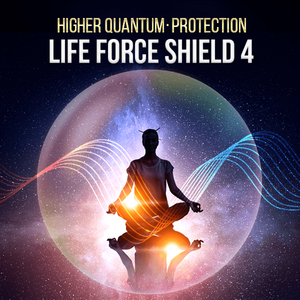 Life Force Protection Series - Qi Life Store 