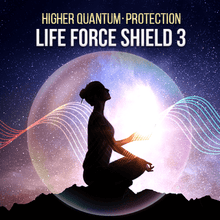 Load image into Gallery viewer, Life Force Protection Series - Qi Life Store 