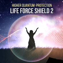 將圖像加載到圖庫查看器中，Life Force Protection Series - Qi Life Store 