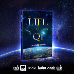 Life of Qi - Paperback Book on Amazon - Qi Life Store 