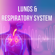 Load image into Gallery viewer, Lungs &amp; Respiratory System Rife Frequencies