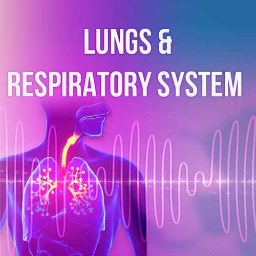 Lungs & Respiratory System - Rife+ Frequency Protocols - Qi Life Store 