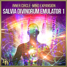 Cargar imagen en el visor de la galería, Mind Expansion Bundle | Salvia Divinorum Emulator 1