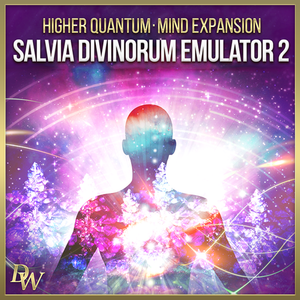 Mind Expansion Collection Higher Quantum Frequencies