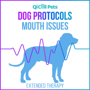 Mouth Issues - Extended Protocol - Canine - Qi Life Store 