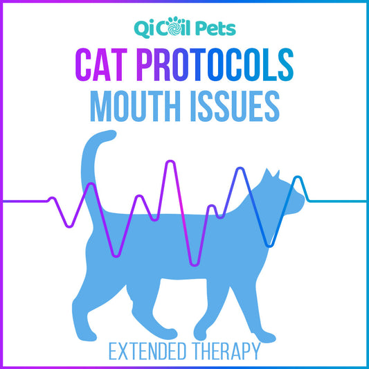 Mouth Issues - Extended Protocol - Feline - Qi Life Store 
