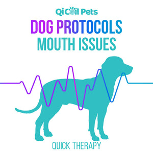 Mouth Issues - Quick Protocol - Canine - Qi Life Store 