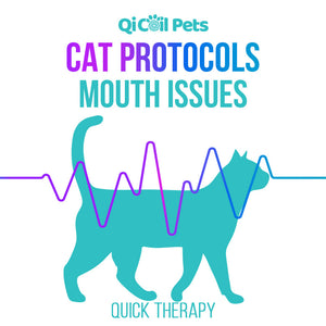 Mouth Issues - Quick Protocol - Feline - Qi Life Store 