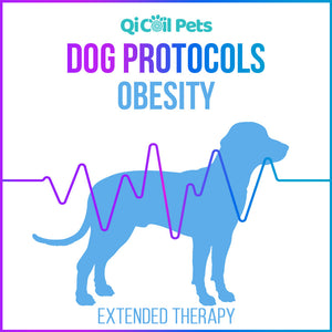 Obesity - Extended Protocol - Canine - Qi Life Store 