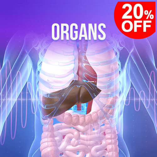 Organs