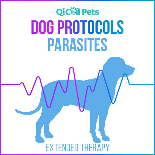 Parasites - Extended Protocol - Canine - Qi Life Store 