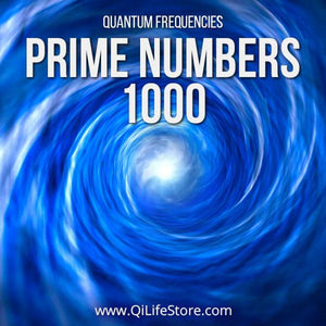 Prime Numbers Time Travel Vortex 1000 Series - Qi Life Store 