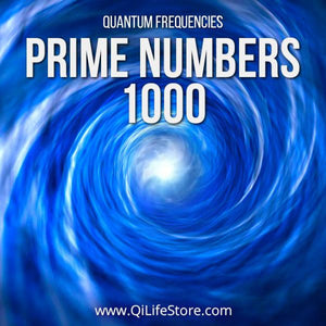 Prime Numbers Time Travel Vortex 1000 Series - Qi Life Store 