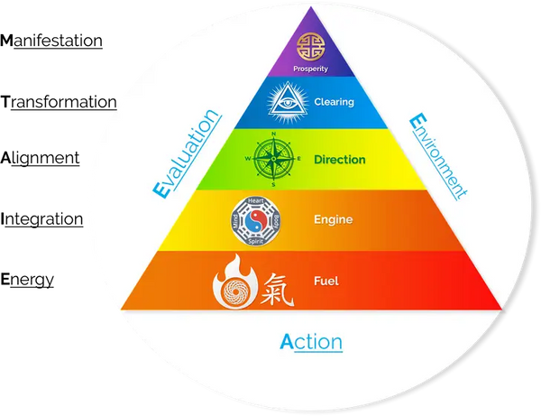 Qi Life Mastery eBook FREE