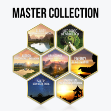 Bild in Galerie-Viewer laden, Qi Coil™ 3S System with Frequency Method™ Complete Collection - Qi Life Store 