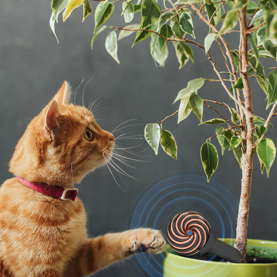Qi Coil™ Mini - PEMF Therapy For Animals - Qi Life Store 