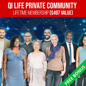 Qi Coil™ Mini System - Quantum University Student - Qi Life Store 