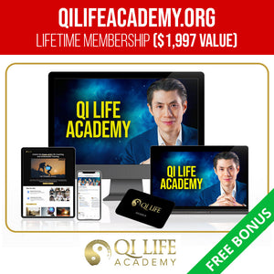 Qi Coil™ Mini Rife Machine System - Qi Life Store 