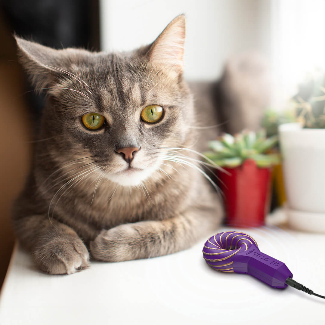 Qi Coil™ Nano - PEMF Therapy For Small Animals - Qi Life Store 