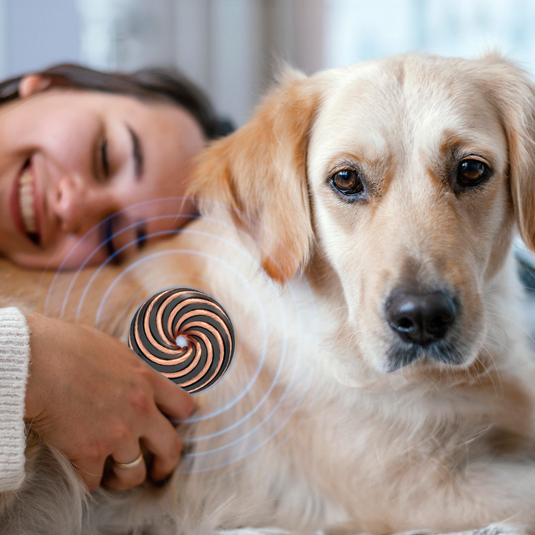 Qi Coil™ PEMF Therapy For Dogs - Qi Life Store 