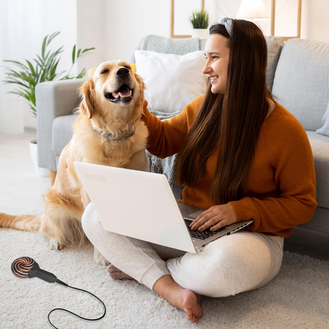 Qi Coil™ PEMF Therapy For Dogs - Qi Life Store 
