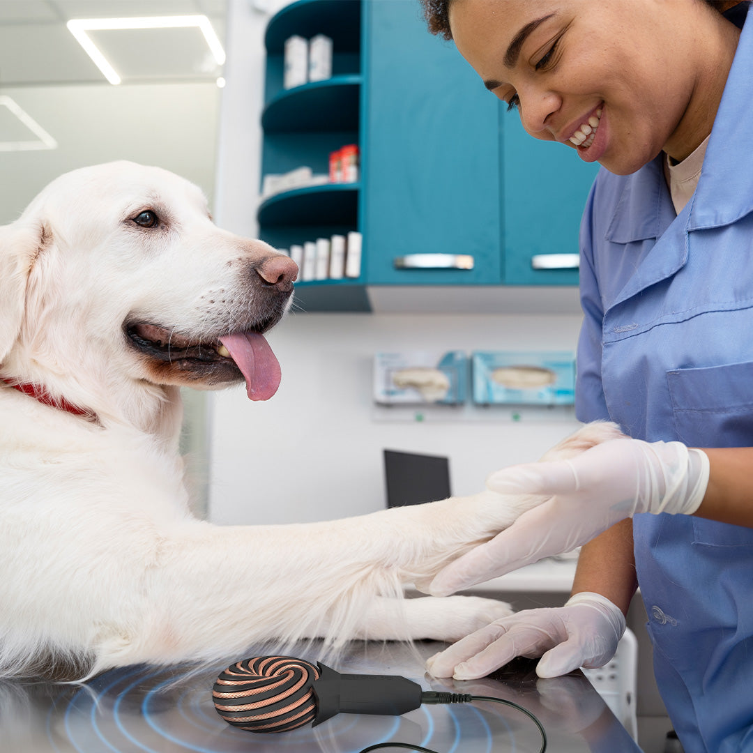 Qi Coil™ PEMF Therapy For Dogs - Qi Life Store 