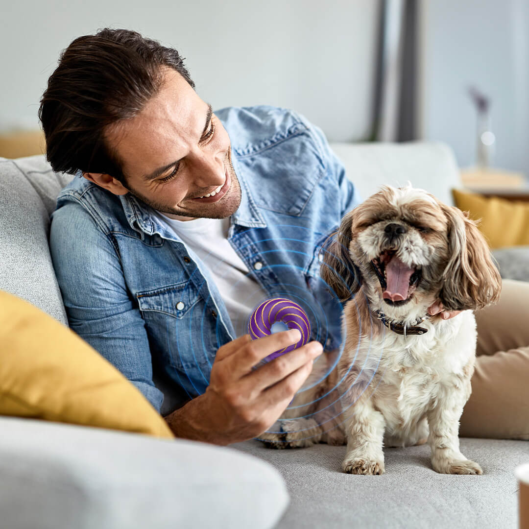 Qi Coil™ PEMF Therapy For Dogs - Qi Life Store 