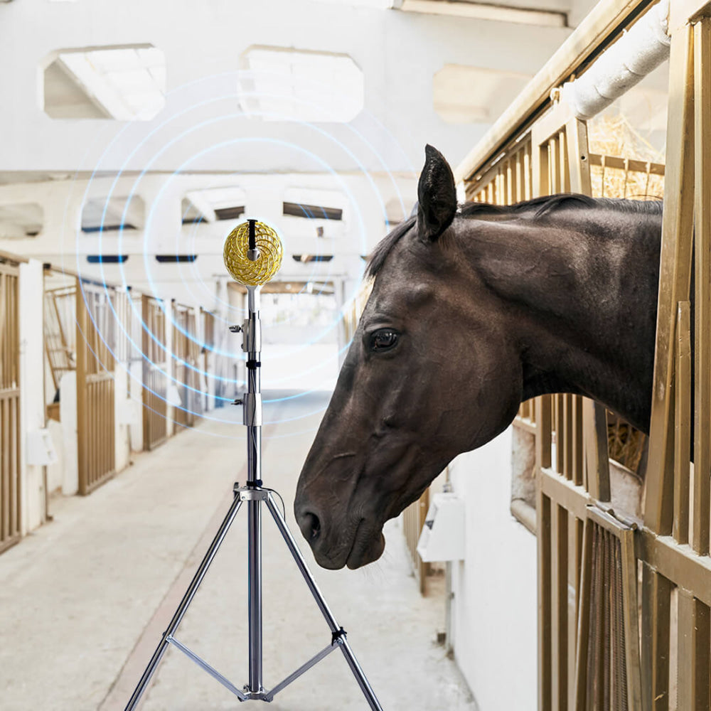 Qi Coil™ Pemf Therapy For Horses Hideabtest