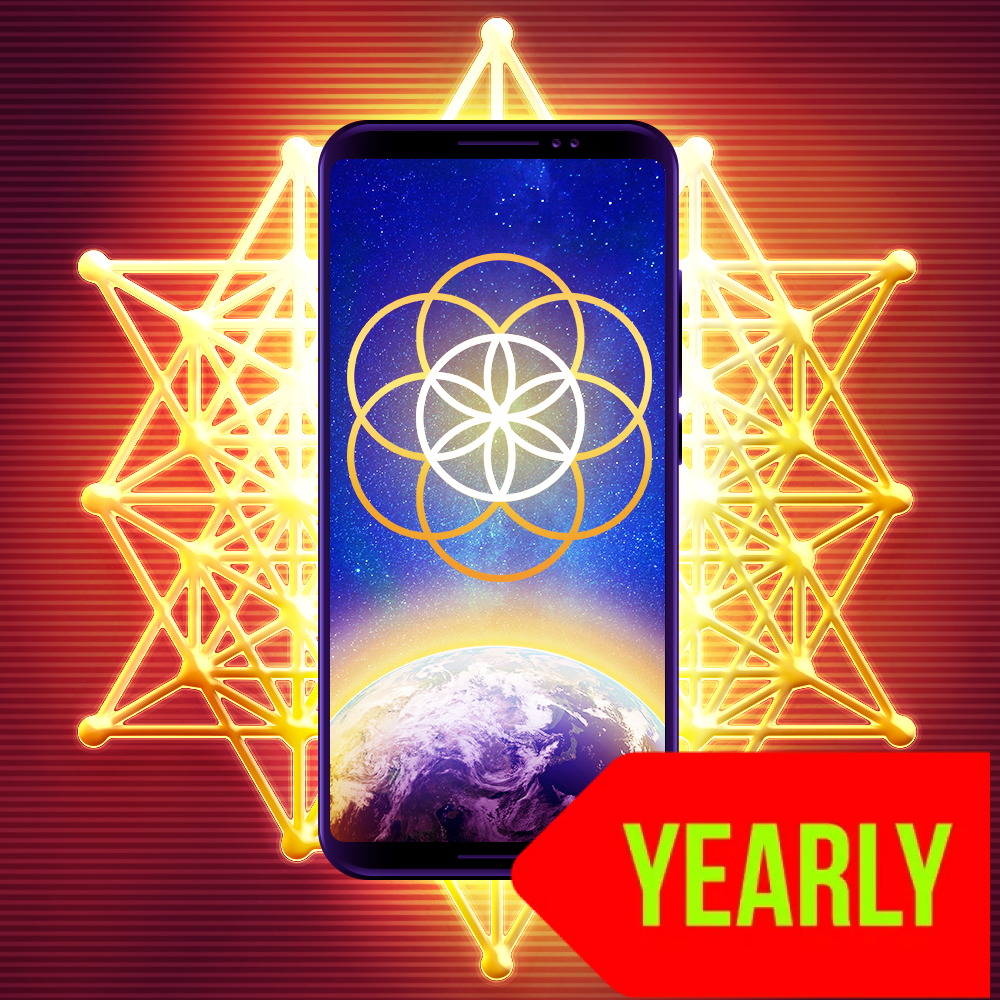 Qi Energy.Ai Advanced - 1 Year Access - Qi Life Store 