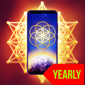 Qi Energy.Ai Advanced - 1 Year Access - Qi Life Store 