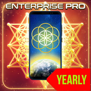 Qi Energy.Ai Enterprise PRO - 1 Year Access - Qi Life Store 