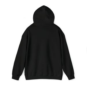 Qi Life Unisex Heavy Blend Hooded Sweatshirt - Black - Qi Life Store 
