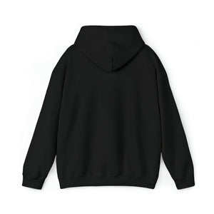 Qi Life Unisex Heavy Blend Hooded Sweatshirt - Black - Qi Life Store 
