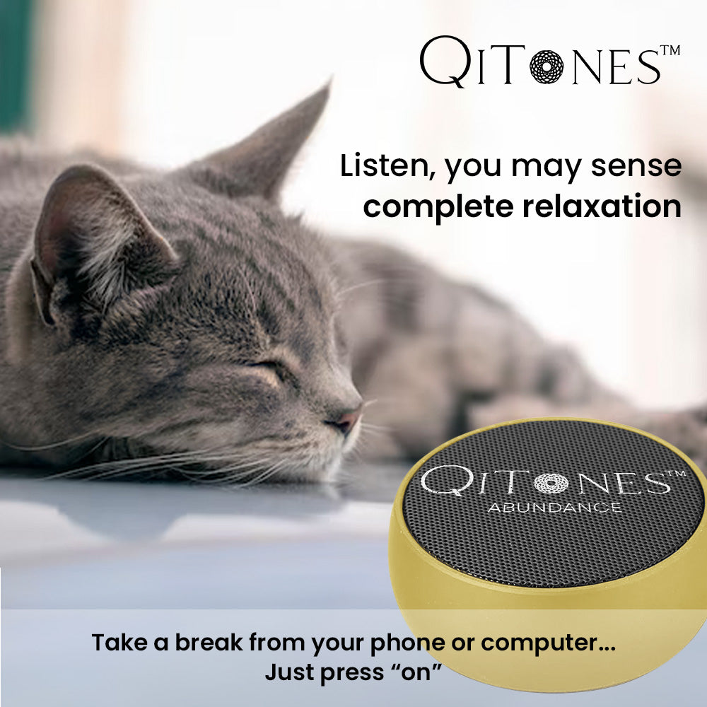 Qi Tones™ Therapy System: Abundance Starter Pack - Qi Life Store 