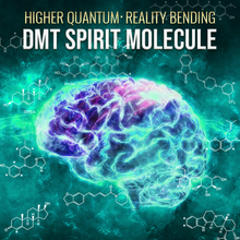 將圖像加載到圖庫查看器中，Reality Bending Collection - DMT &amp; Ayahuasca - Qi Life Store 