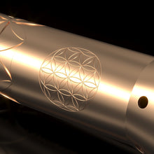 Load image into Gallery viewer, Resonant Wand™ Gold System with Resonant Console 2 - Qi Life Store 