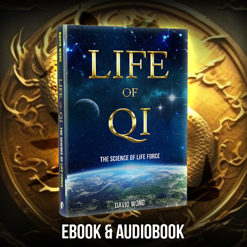 Life of Qi ebook
