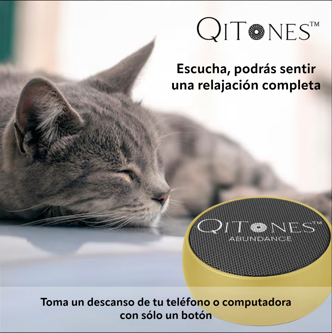 Sistema de Terapia Qi Tones™: Paquete de Abundancia - Qi Life Store 