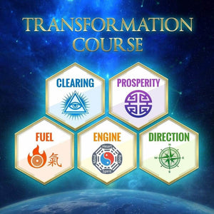 Sistema de Transformación Qi Coil™ 3S con Consola Resonante 2 - Qi Life Store 