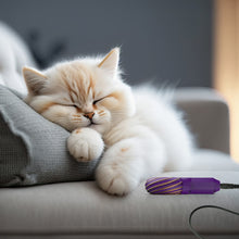 Bild in Galerie-Viewer laden, Qi Coil™ PEMF Therapy For Cats