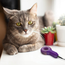 Bild in Galerie-Viewer laden, Qi Coil™ PEMF Therapy For Cats