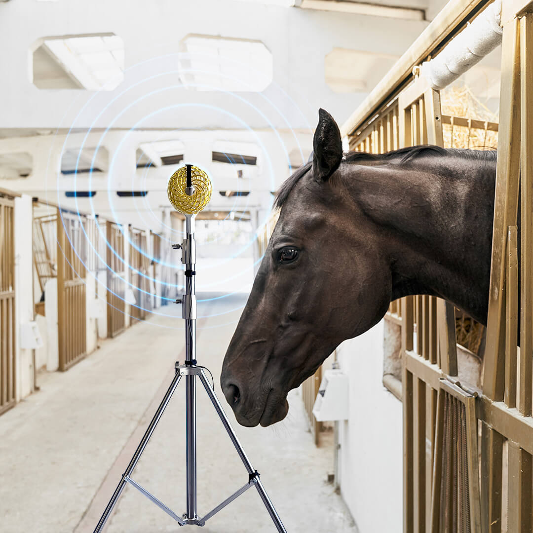 Qi Coil™ PEMF Therapy For Horses