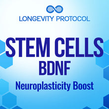 Load image into Gallery viewer, Stem Cells - BDNF: Neuroplasticity Boost Higher Quantum Frequencies