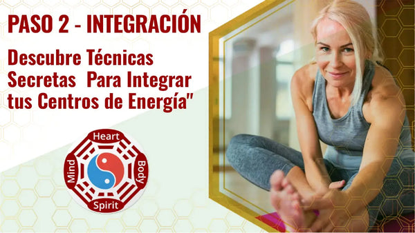 Sistema de Transformación Qi Coil™ 3S con Consola Resonante 2