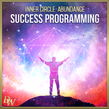 Load image into Gallery viewer, (Tier 4) Abundance Plus - Rapid Prosperity Attraction - Qi Life Store 