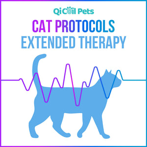 Top 28 Cat Protocols - Approved By Veterinarians - Qi Life Store 