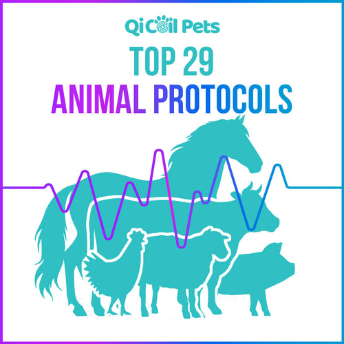 Top 29 Animal Protocols - Approved By Veterinarians - Qi Life Store 