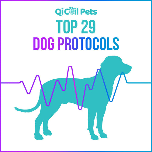 Top 29 Dog Protocols - Approved By Veterinarians - Qi Life Store 